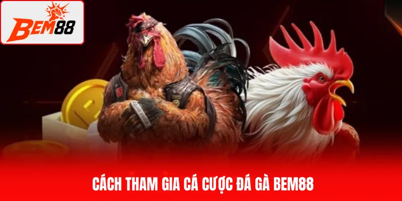 Cách tham gia cá cược đá gà BEM88