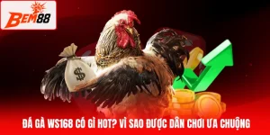 đá gà WS168