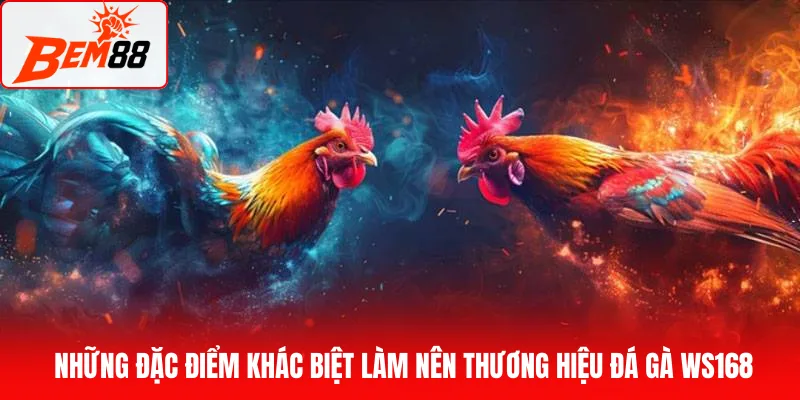 Những đặc điểm khác biệt làm nên thương hiệu đá gà WS168