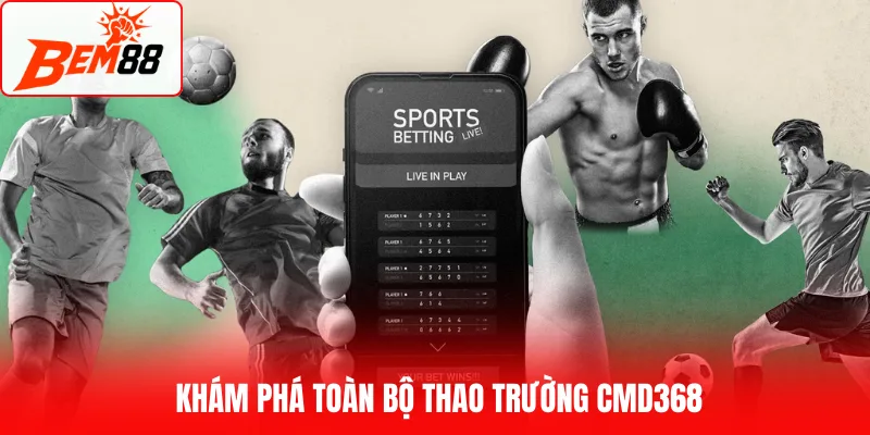 Khám phá toàn bộ thao trường CMD368