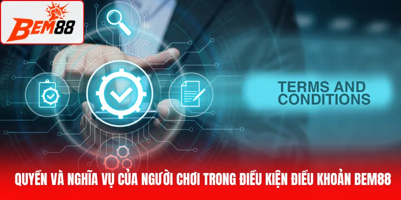 Quyền và nghĩa vụ của người chơi trong điều kiện điều khoản BEM88