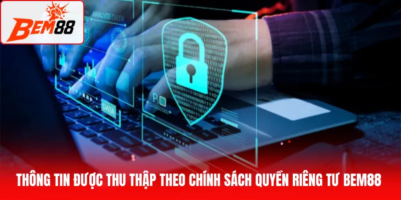 Các loại thông tin được thu thập theo chính sách quyền riêng tư BEM88